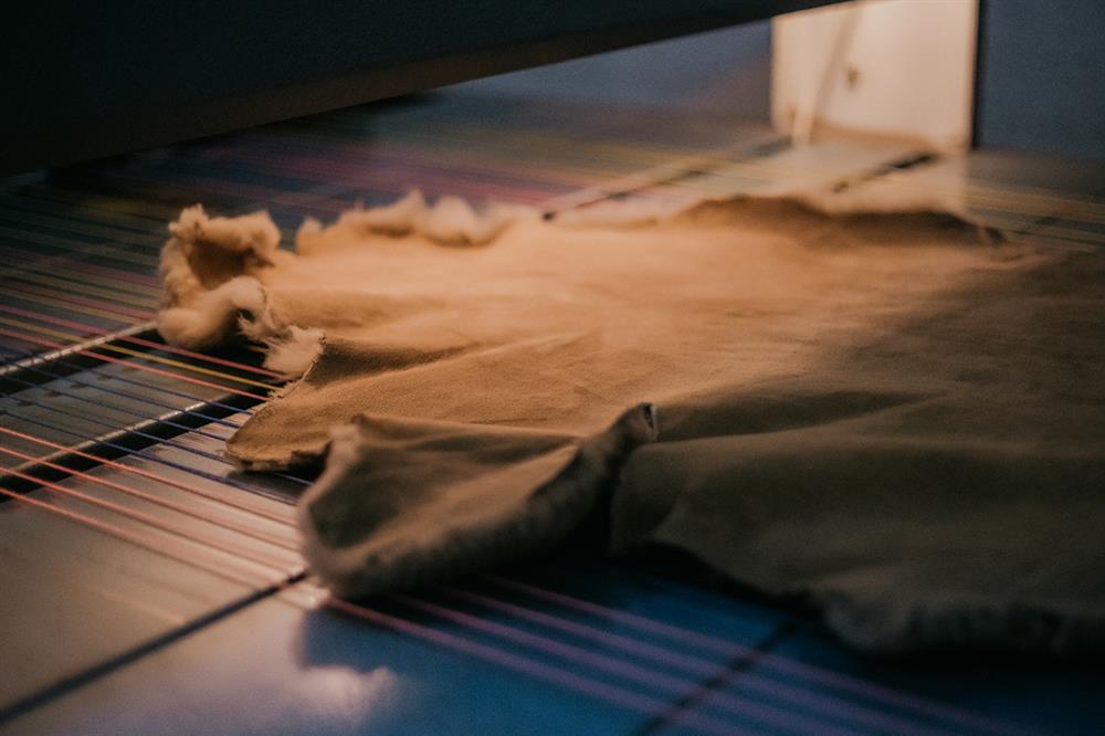 dimko-mitrev-clubeconomy