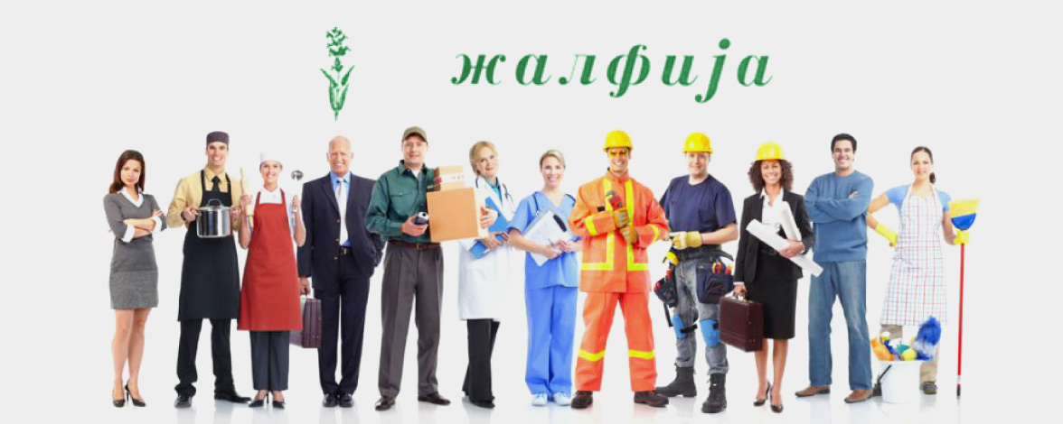 www.zalfija.clubeconomy.mk