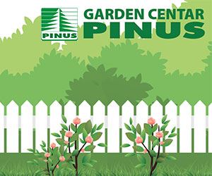 www.pinus.clubeconomy.com.mk